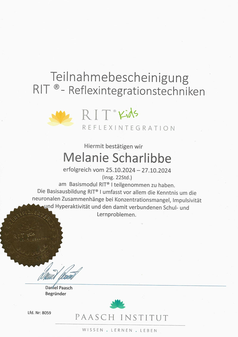 Reflexintegration