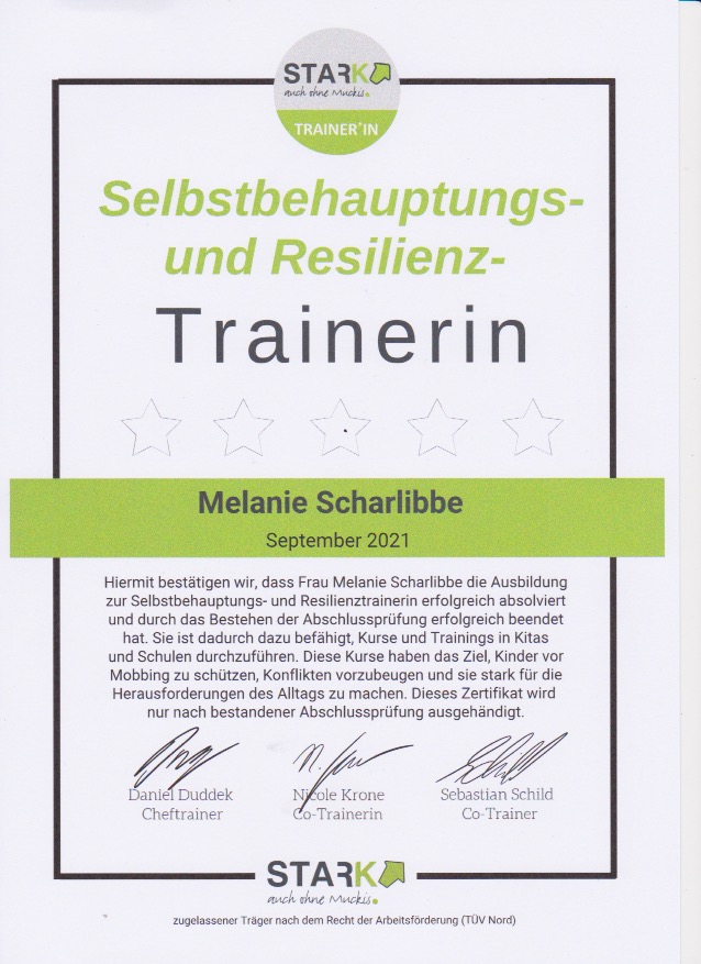 Resilienztrainer